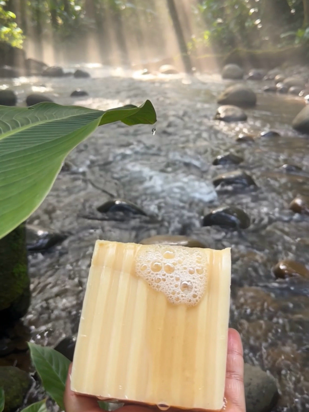 Turmeric & Honey Glow Bar