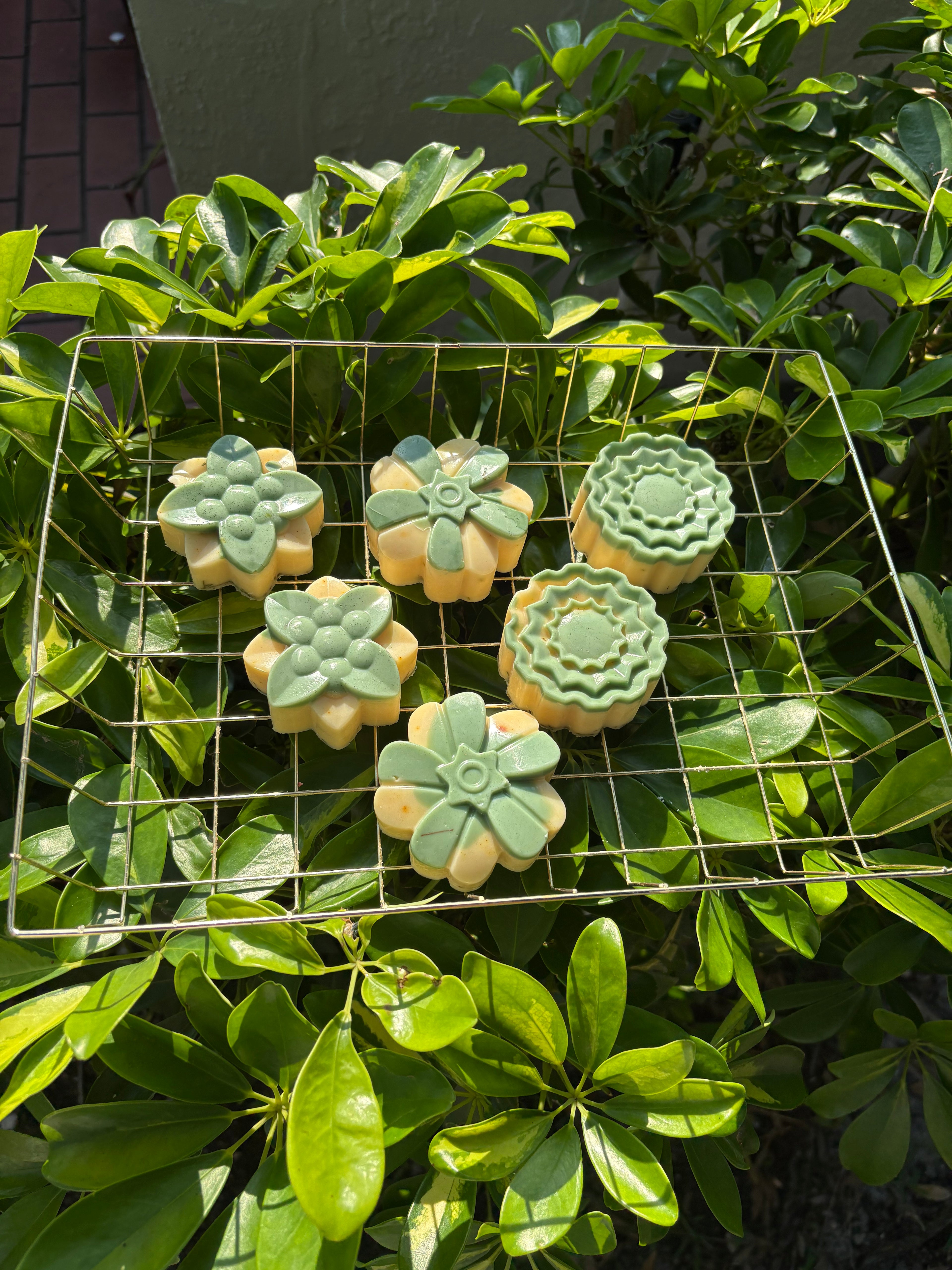 Lemongrass soap