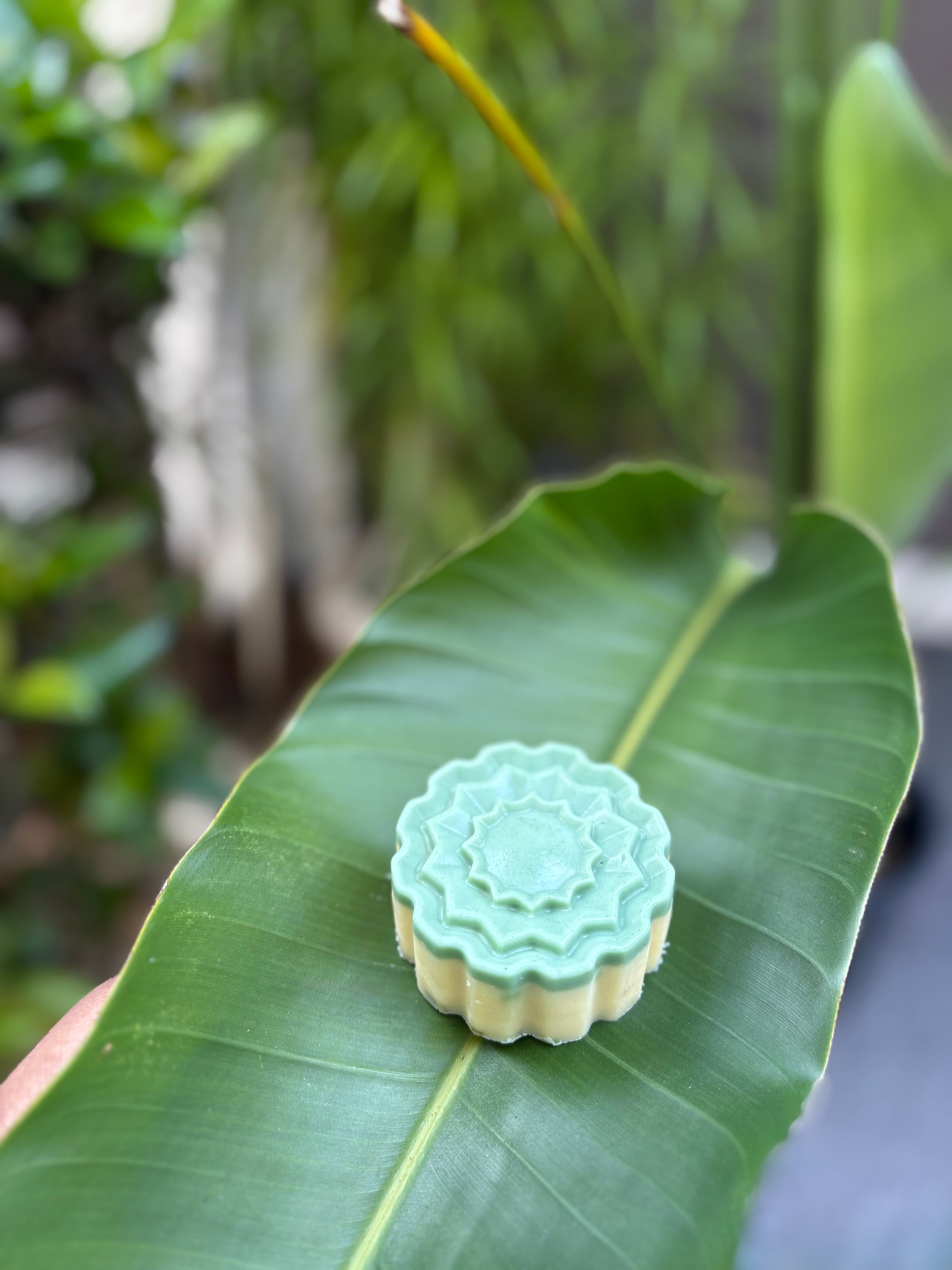 Lemongrass soap
