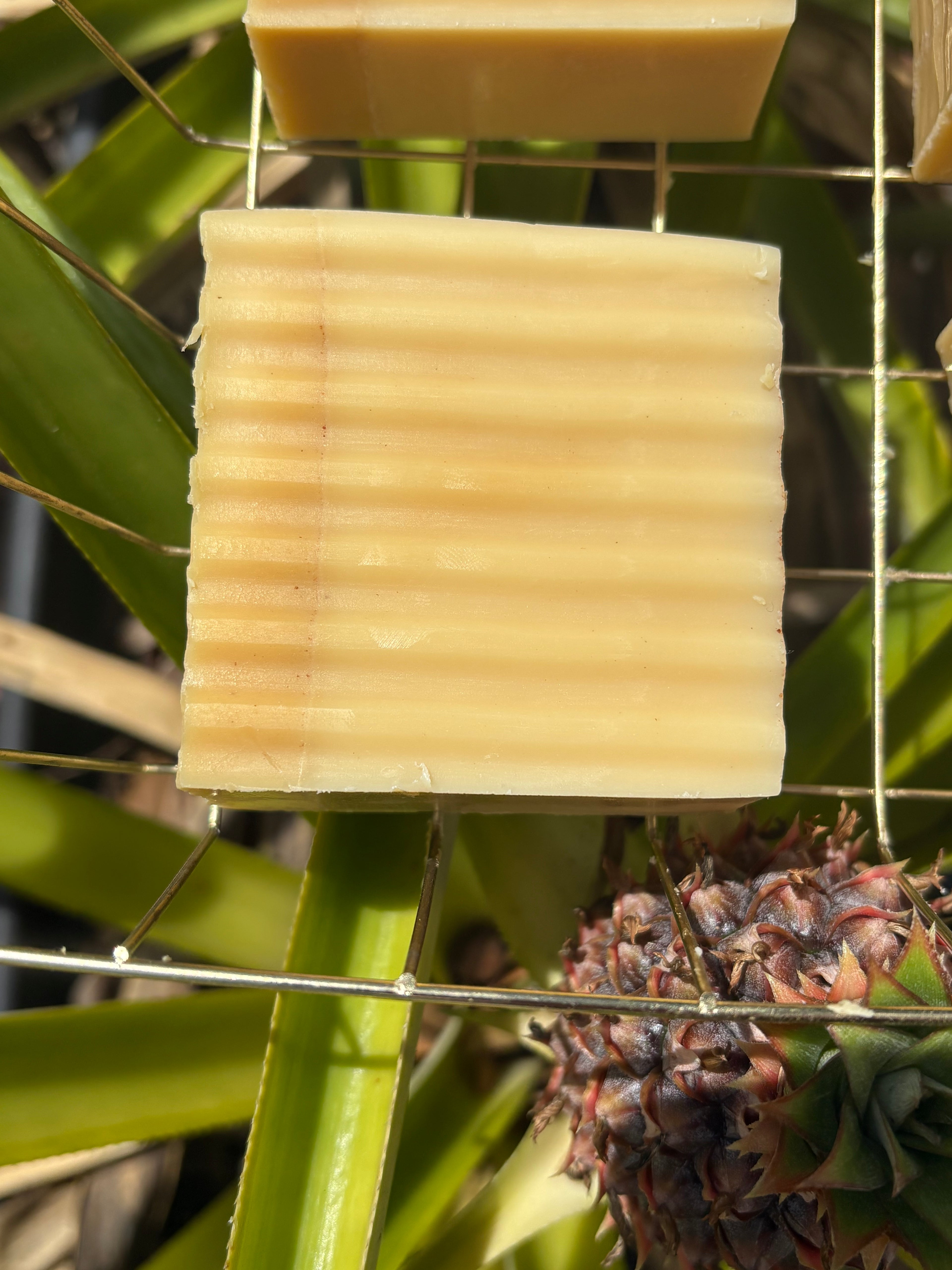 Turmeric & Honey Glow Bar